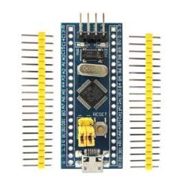 Tarjeta de desarrollo...