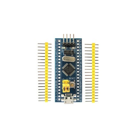 Tarjeta de desarrollo...