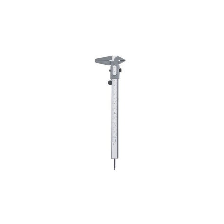 Vernier caliper BTL-5060
