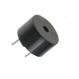 Buzzer grande
