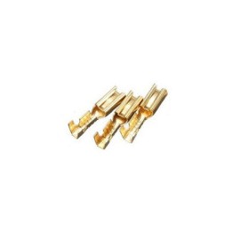 Zapata H dorada para cal....